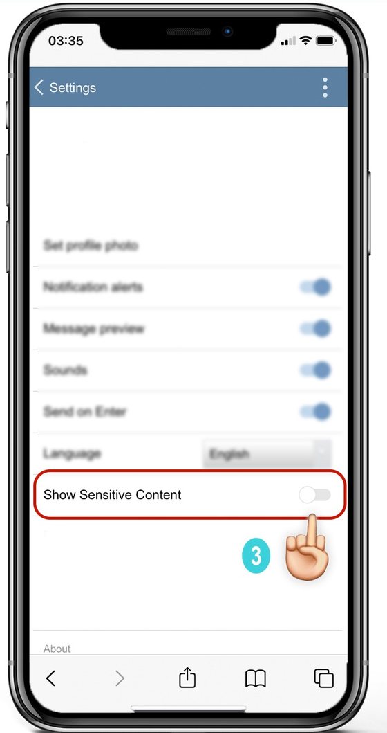 Telegram Web settings with the Show Sensitive Content toggle highlighted